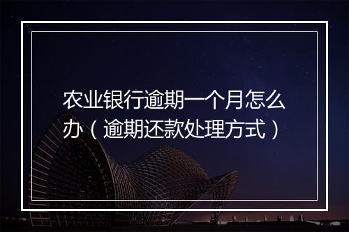 农业银行逾期一个月怎么办（逾期还款处理方式）