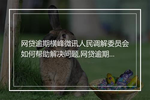网贷逾期横峰微讯人民调解委员会如何帮助解决问题,网贷逾期横峰微讯人民调解委员会的服务流程