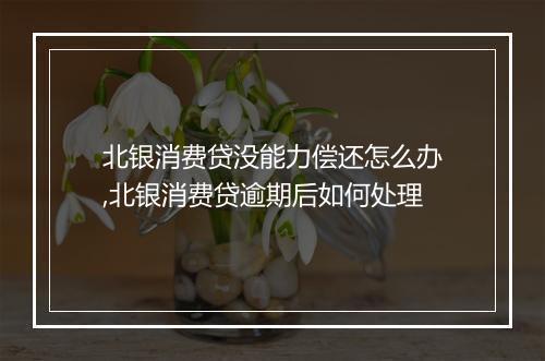 北银消费贷没能力偿还怎么办,北银消费贷逾期后如何处理