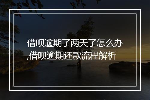 借呗逾期了两天了怎么办,借呗逾期还款流程解析