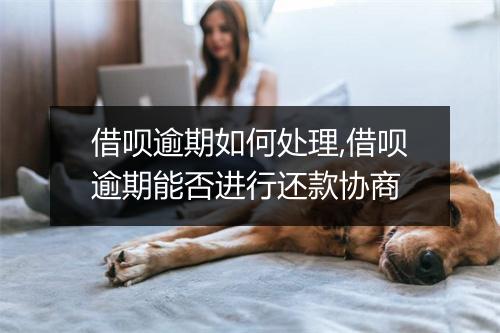 借呗逾期如何处理,借呗逾期能否进行还款协商