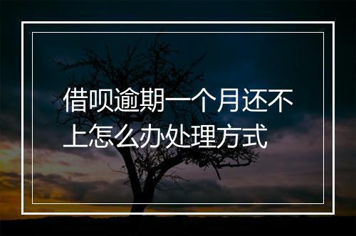 借呗逾期一个月还不上怎么办处理方式