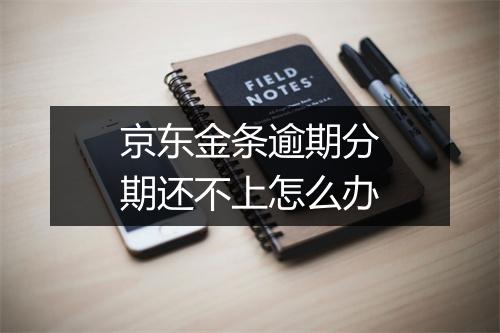 京东金条逾期分期还不上怎么办