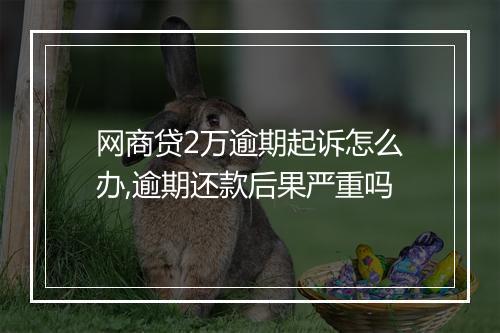 网商贷2万逾期起诉怎么办,逾期还款后果严重吗