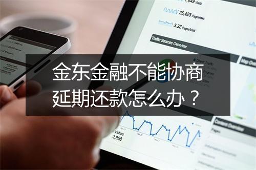金东金融不能协商延期还款怎么办？