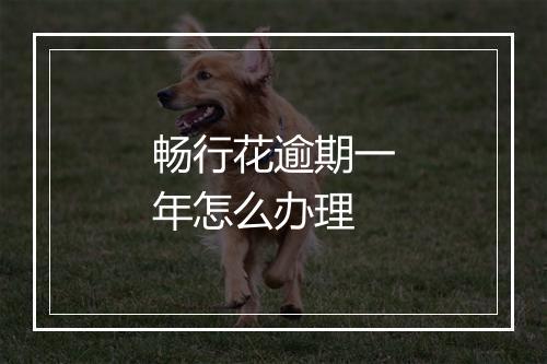 畅行花逾期一年怎么办理