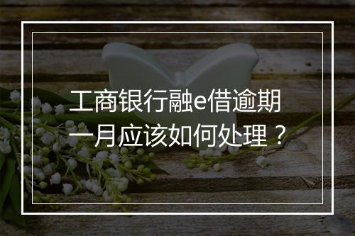 工商银行融e借逾期一月应该如何处理？