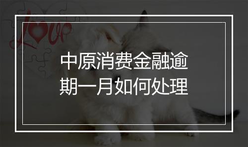 中原消费金融逾期一月如何处理