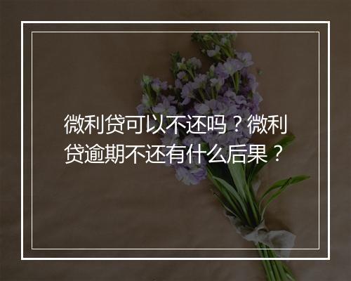微利贷可以不还吗？微利贷逾期不还有什么后果？