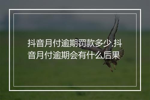 抖音月付逾期罚款多少,抖音月付逾期会有什么后果