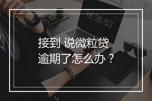接到 说微粒贷逾期了怎么办？
