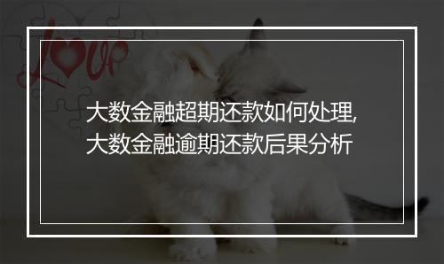 大数金融超期还款如何处理,大数金融逾期还款后果分析