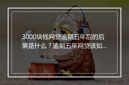 3000块钱网贷逾期五年后的后果是什么？逾期五年网贷该如何处理？