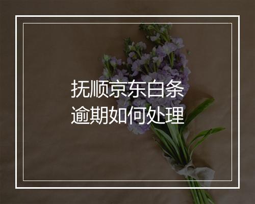 抚顺京东白条逾期如何处理