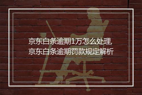 京东白条逾期1万怎么处理,京东白条逾期罚款规定解析