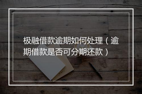 极融借款逾期如何处理（逾期借款是否可分期还款）