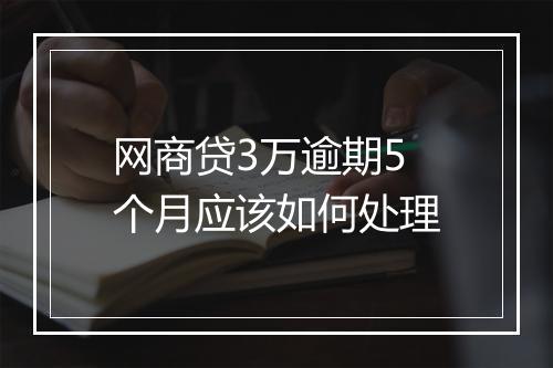 网商贷3万逾期5个月应该如何处理