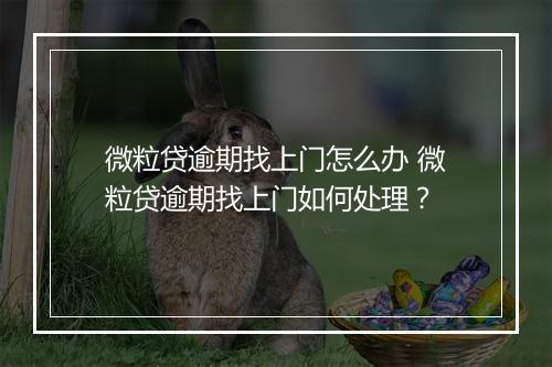 微粒贷逾期找上门怎么办 微粒贷逾期找上门如何处理？