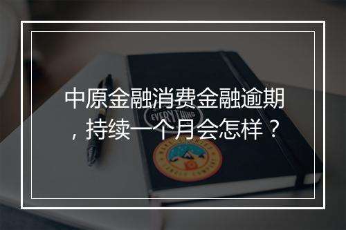 中原金融消费金融逾期，持续一个月会怎样？