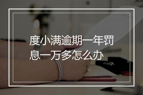 度小满逾期一年罚息一万多怎么办