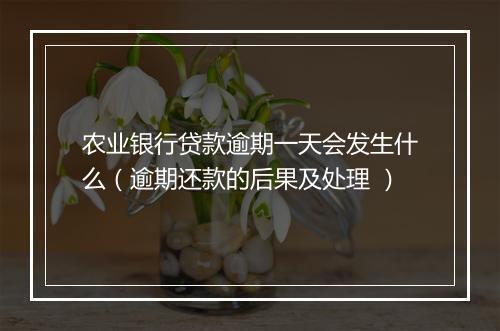 农业银行贷款逾期一天会发生什么（逾期还款的后果及处理 ）