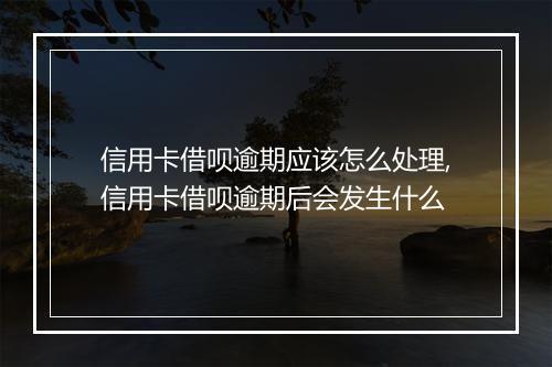 信用卡借呗逾期应该怎么处理,信用卡借呗逾期后会发生什么