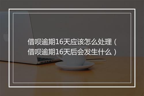 借呗逾期16天应该怎么处理（借呗逾期16天后会发生什么）