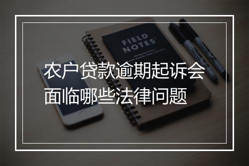 农户贷款逾期起诉会面临哪些法律问题