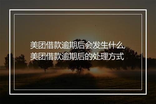美团借款逾期后会发生什么,美团借款逾期后的处理方式