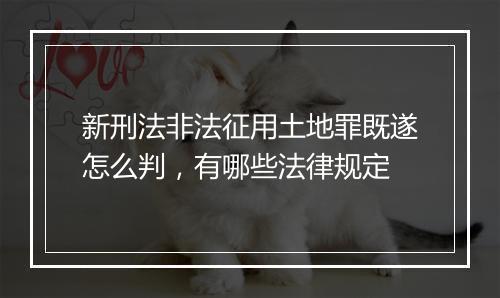 新刑法非法征用土地罪既遂怎么判，有哪些法律规定