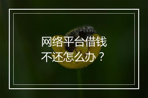 网络平台借钱不还怎么办？