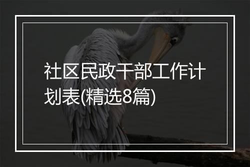 社区民政干部工作计划表(精选8篇)