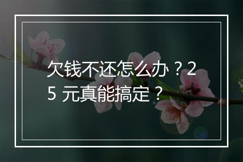欠钱不还怎么办？25 元真能搞定？