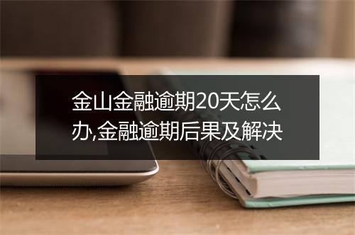 金山金融逾期20天怎么办,金融逾期后果及解决