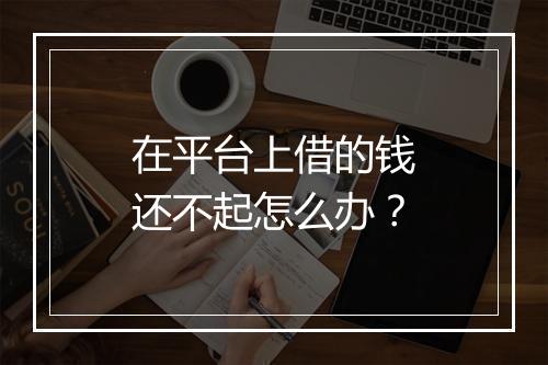 在平台上借的钱还不起怎么办？