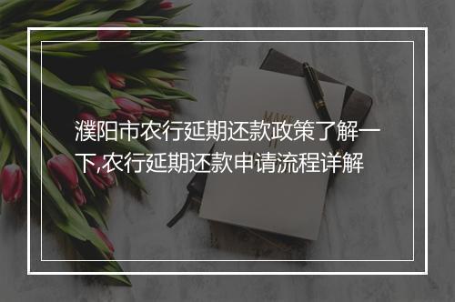 濮阳市农行延期还款政策了解一下,农行延期还款申请流程详解