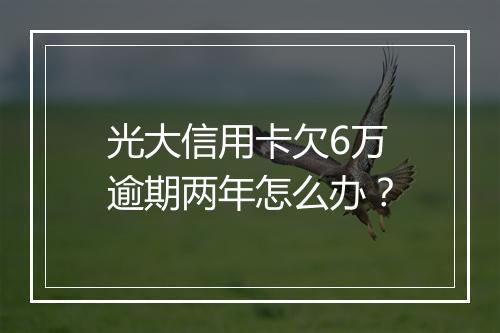 光大信用卡欠6万逾期两年怎么办？
