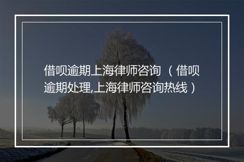 借呗逾期上海律师咨询 （借呗逾期处理,上海律师咨询热线）