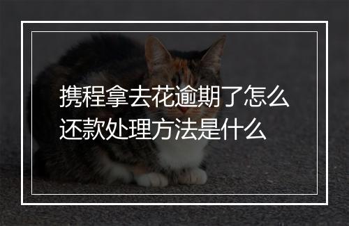 携程拿去花逾期了怎么还款处理方法是什么