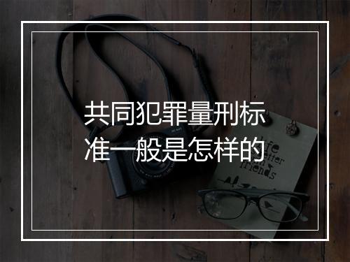 共同犯罪量刑标准一般是怎样的