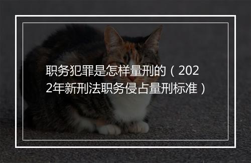 职务犯罪是怎样量刑的（2022年新刑法职务侵占量刑标准）