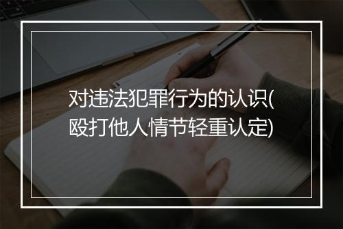 对违法犯罪行为的认识(殴打他人情节轻重认定)