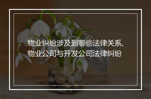 物业纠纷涉及到哪些法律关系,物业公司与开发公司法律纠纷