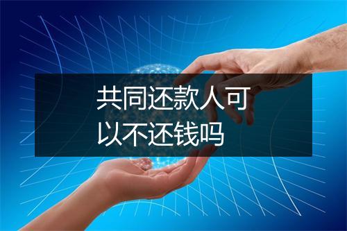 共同还款人可以不还钱吗