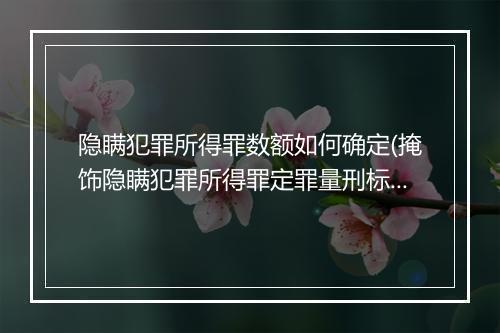 隐瞒犯罪所得罪数额如何确定(掩饰隐瞒犯罪所得罪定罪量刑标准)