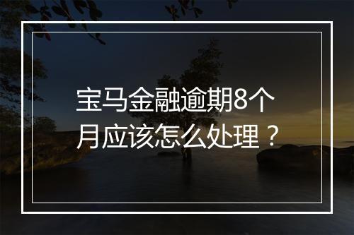 宝马金融逾期8个月应该怎么处理？