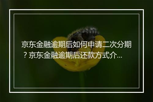 京东金融逾期后如何申请二次分期？京东金融逾期后还款方式介绍