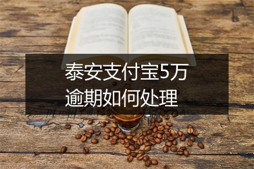 泰安支付宝5万逾期如何处理