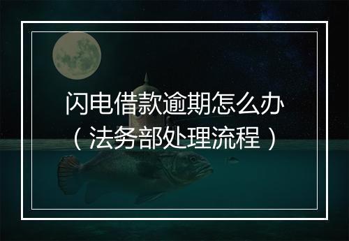 闪电借款逾期怎么办（法务部处理流程）