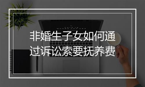 非婚生子女如何通过诉讼索要抚养费